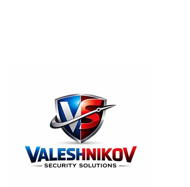 Valeshnikov Security Solutions logo
